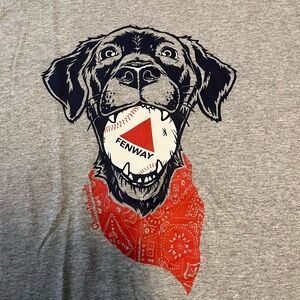 Chowdaheadz Fenway Citgo Sign Dog T shirt